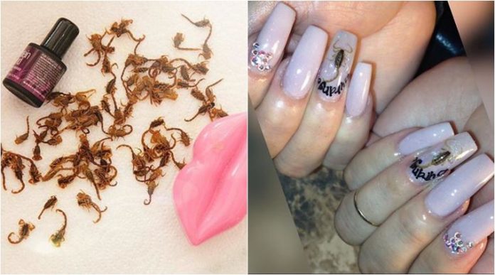 nail art scorpioni
